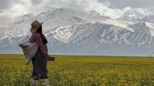 Bir yanda bahar bir yanda kar! �ki mevsimi bir arada ya��yorlar