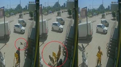 Kediye bas�p, k�pe�i tekmeledi! S�n�r d��� edildi