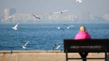 S�cakl�klar mevsim normallerinde seyredecek
