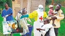 Ebola i�in k�resel alarm