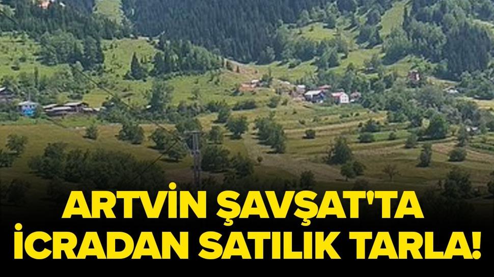 Artvin Şavşat'ta icradan satılık tarla!