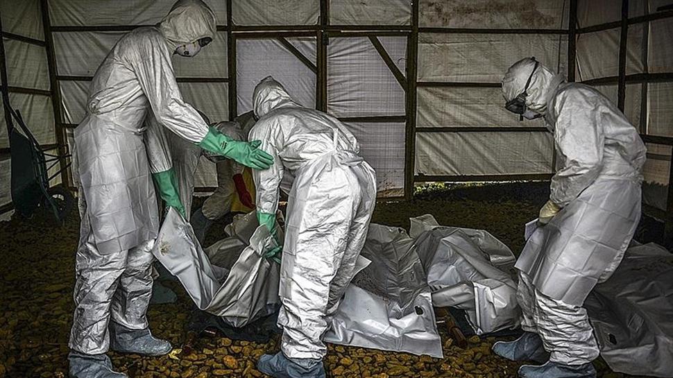 Ebola alarmı zirve erteletti: Hindistan-Afrika Forumu askıya alındı