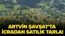 Artvin �av�at'ta icradan sat�l�k tarla!