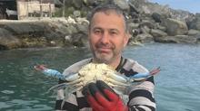 Karadeniz'de nadir rastlan�yor! Bal�k��lar�n a��na tak�ld�