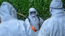 Kongo'da Ebola bilan�osu a��rla��yor: Hayat�n� kaybedenlerin say�s� 160'a ula�t�