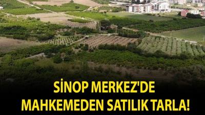 Sinop Merkez'de mahkemeden sat�l�k tarla!