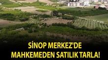 Sinop Merkez'de mahkemeden sat�l�k tarla!