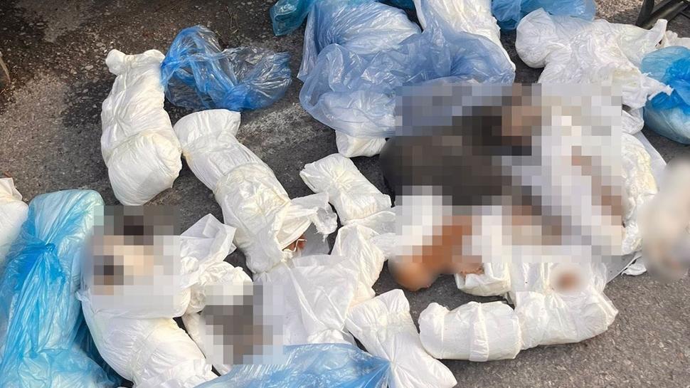 İzmir'deki kedi katliamında yeni gelişme! Veteriner yeniden gözaltına alındı