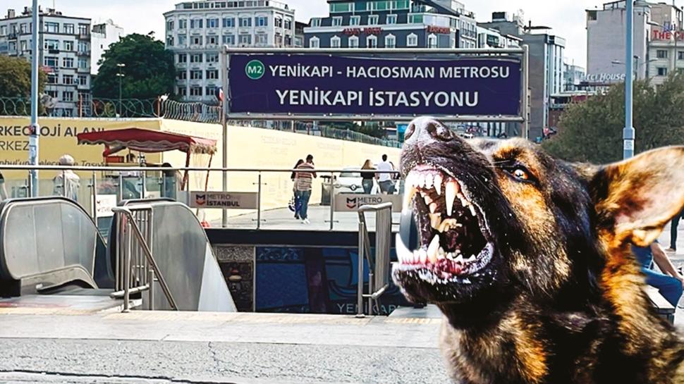 Metroda k�pe�in �s�rd��� turist 256 bin lira kazand�