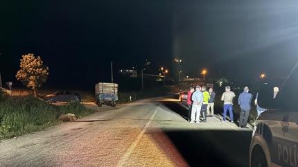 Tokat'ta otomobil koyun s�r�s�ne �arpt�: �ok say�da hayvan telef oldu