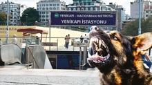 Metroda k�pe�in �s�rd��� turist 256 bin lira kazand�