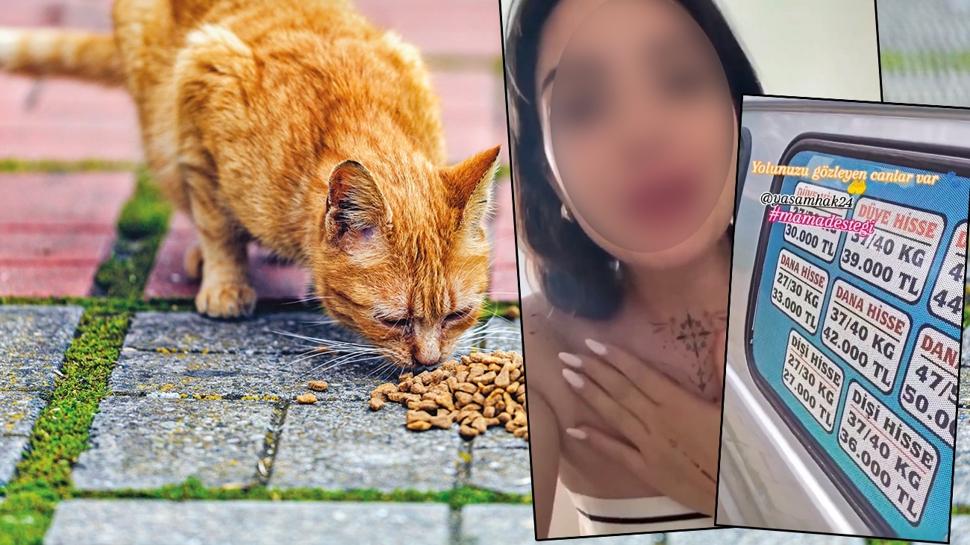 Mama lobisi g�z�n� kurbana dikti