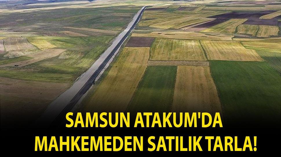Samsun Atakum'da mahkemeden satılık tarla!