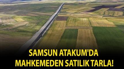 Samsun Atakum'da mahkemeden sat�l�k tarla!