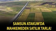 Samsun Atakum'da mahkemeden sat�l�k tarla!