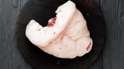 Kuyruk ya��n�n faydas� var m�?