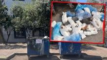 33 kedinin �l�m�ne pes dedirten savunma! Cani veteriner tutukland�