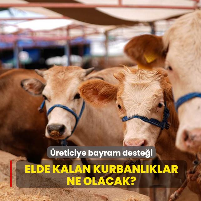�reticiye bayram deste�i! Elde kalan kurbanl�klar ne olacak?