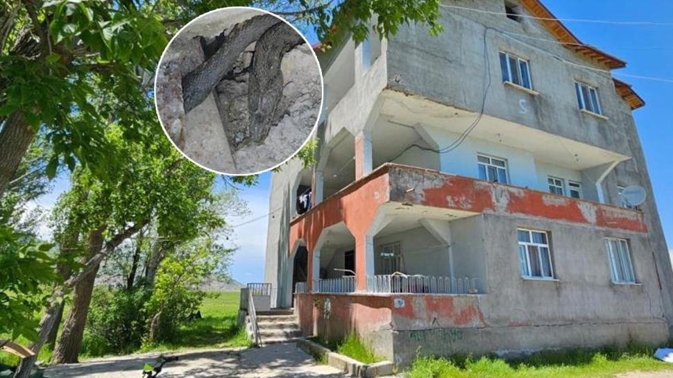 Y�lanlar t�m evi sard�: Geceleri uyuyam�yoruz