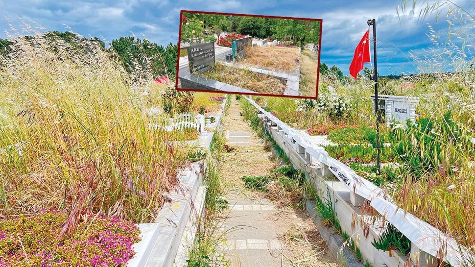 İBB'den ot çilesi! Mezarlıklarda ortaya çıkan görüntüler tepki çekti