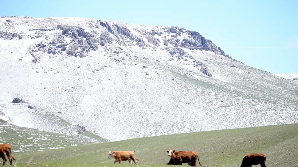 Kars'ın yükseklerinde kar etkili oldu