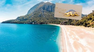 Plajlar gündüz tatilcilerin gece caretta caretta'ların