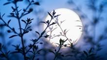 Astrolog �zlem Recep'ten 15 g�n etkili Yay Dolunay� yorumu: 12 bur� i�in a�k, kariyer ve para m�jdesi