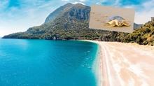 Plajlar g�nd�z tatilcilerin gece caretta caretta'lar�n