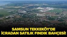 Samsun Tekkek�y'de icradan sat�l�k f�nd�k bah�esi!