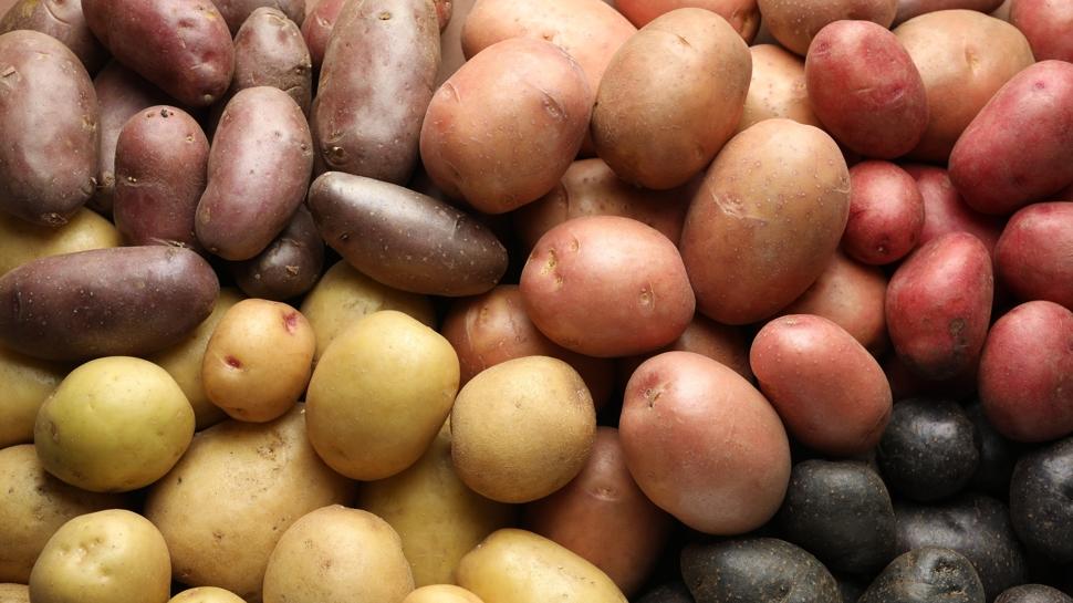 Hangi patates sağlıklı? Turuncu mu sarı mı?