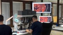 DNA e�le�mesi ortaya ��kard�: 20 y�ll�k faili me�hul ayd�nlat�ld�