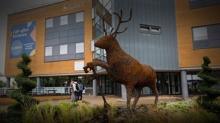 �ngiltere'de arbalet vah�eti: Kamp�ste g�venlik g�revlisine sald�rd�