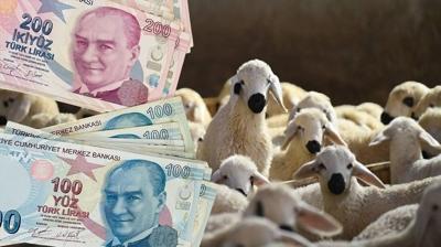 Bakan Yumakl� yeni projeyi duyurdu! Gelir Garantili Besicilik ile hayvanc�l��a destek