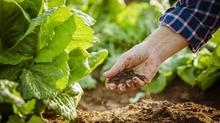 Bakan Yumakl� duyurdu: Ba�vuru s�resi uzat�ld�