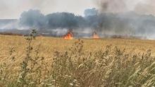 �anakkale'de yang�nlar�n ac� faturas�: Milyonlarca liral�k zarar a��kland�