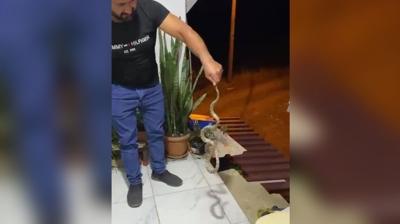 Eve girmek �zereydi! Antalya'da y�lanla ilgin� pazarl�k