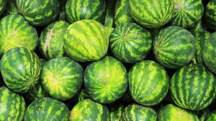 Susuzlu�a iyi gelen yaz meyvesi! V�cudu serinletiyor, s�v� kayb�n� azalt�yor