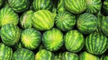Susuzlu�a iyi gelen yaz meyvesi! V�cudu serinletiyor, s�v� kayb�n� azalt�yor