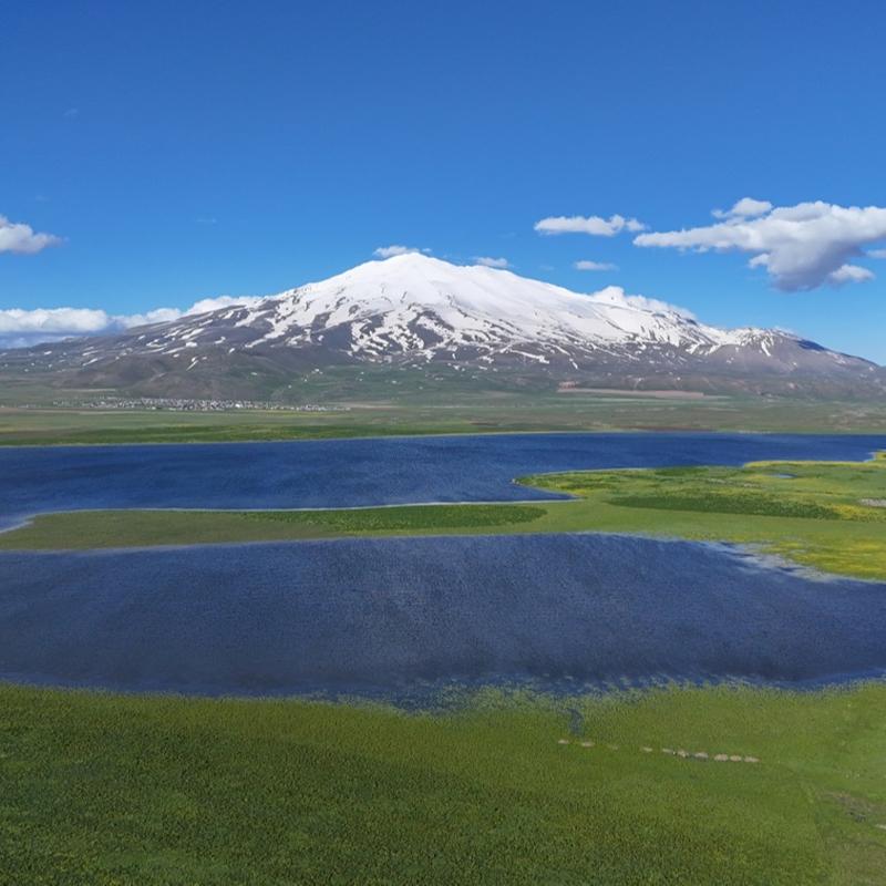 Buras� �zlanda de�il, Bitlis: S�phan Da�� ve Cil G�l� g�renleri �a��rt�yor
