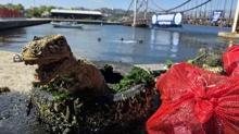 Marmara denizi �g�n�nde' temizlendi