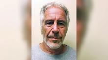 Epstein'in s�r k�p� konu�tu: Usta bir manip�lat�r