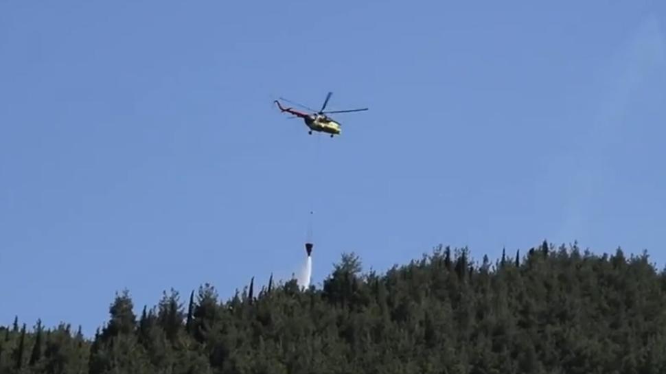 Manisa'da orman yangını çıktı