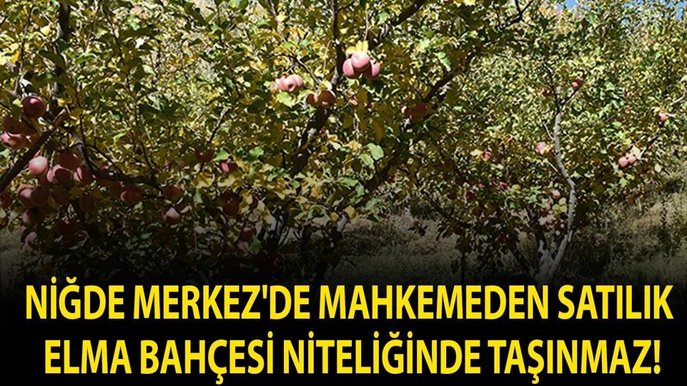 Niğde Merkez'de mahkemeden satılık elma bahçesi ni