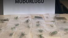 Biyoka�ak��lar Ad�yaman'da enselendi