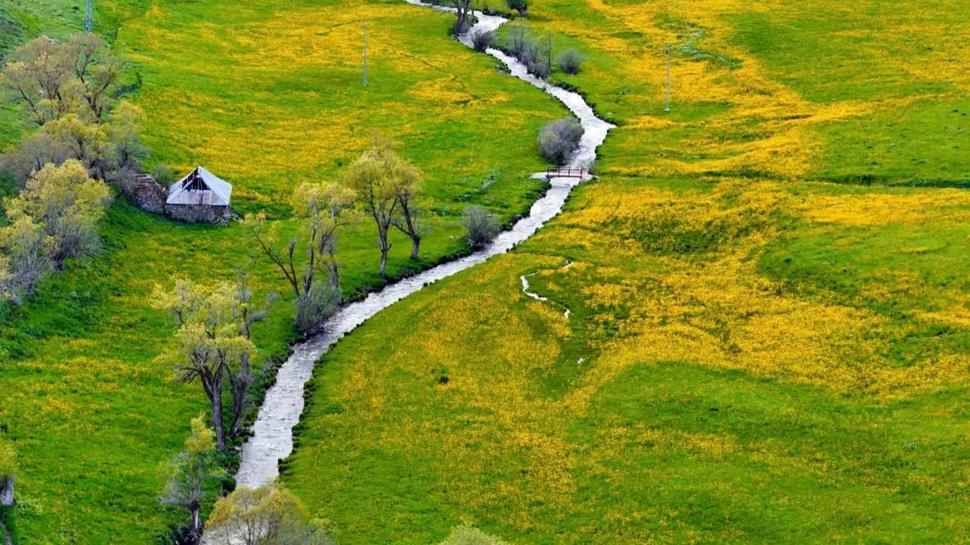 Sadece 20 gün sürüyor! Türkiye'nin saklı vadisi sarı çiçeklerle kaplandı