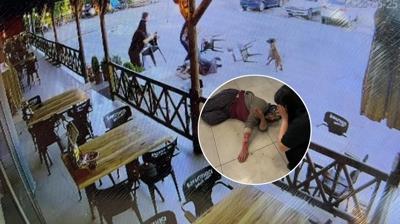 Dinlenme tesisinde can pazar�! K�pek kad�n�n kolunu kopard�