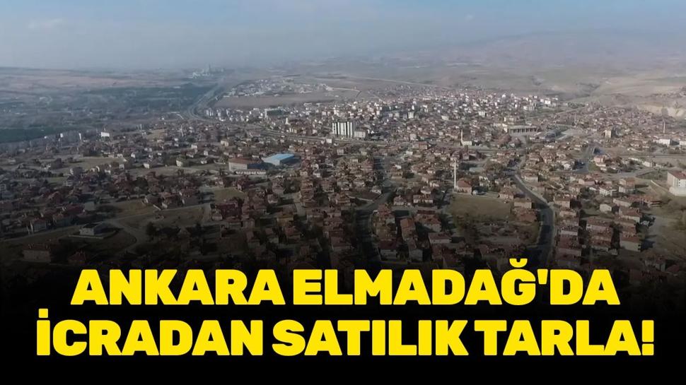 Ankara Elmadağ'da icradan satılık tarla!
