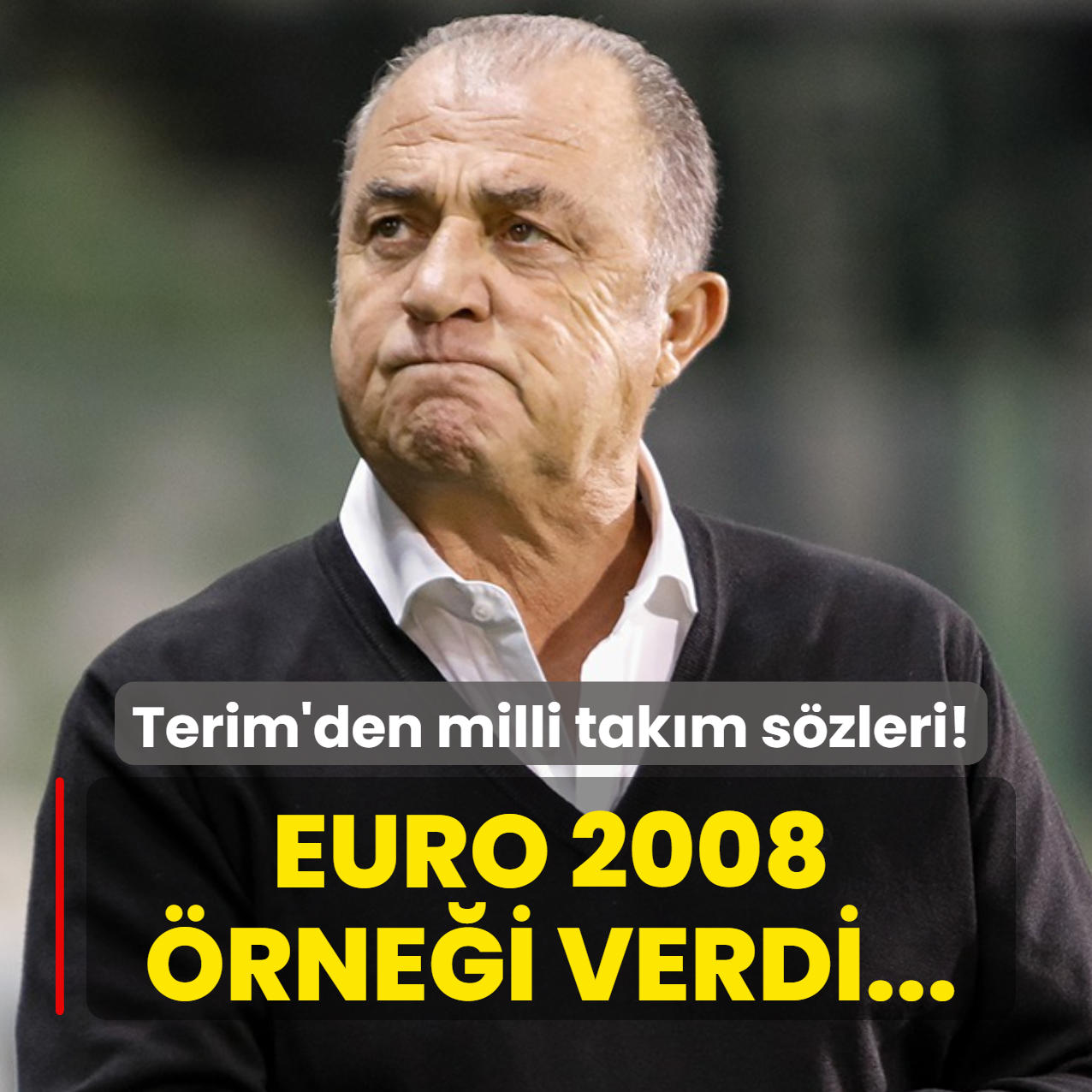 Fatih Terim'den milli tak�m s�zleri! EURO 2008 �rne�i verdi