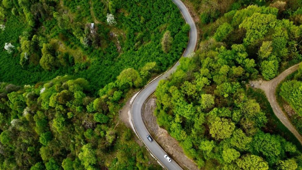 Ormanlar için dev kadro görevde! Bakan Yumaklı hassasiyet istedi