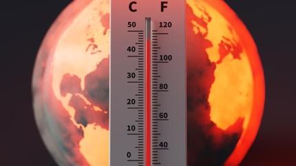 Uzman isim uyard�: El Nino orman yang�n� riskini art�r�yor